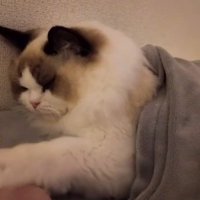 「グッ」と書かれた写真