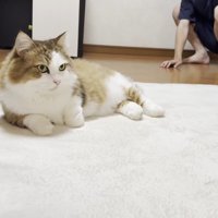 寛ぐ姿としゃがむ息子さん