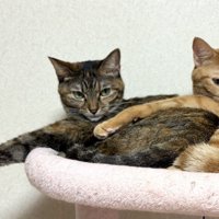 表情とポーズが完全にシンクロしている様子