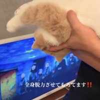 「全身脱力させてもろてます」のテロップ写真1