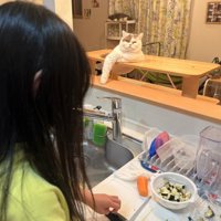 娘さんが包丁を使っているところ