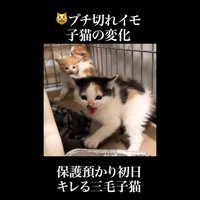威嚇