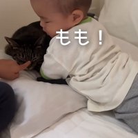 ベッドの上にいる子供と猫