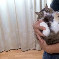 横抱きのアップ