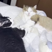 手をつないだ姿