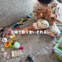 子猫を抱っこする男の子
