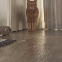 「主じゃあ～ん」と書かれた写真