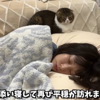 添い寝するぽこ太郎くん