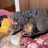 猫のお腹を触る男の子