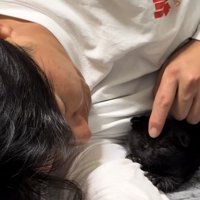 寝ころんでいる猫の写真1