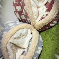 2つ並べられた猫用ベッド