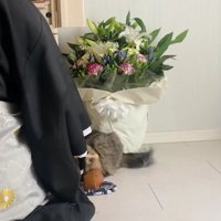 お経を唱えるお坊さん