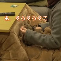 あ、そうそうそこ