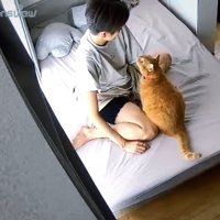 眠そうな飼い主さんを見つめる猫