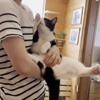 ママさん（ボーダーTシャツ）に抱かれる猫ちゃん