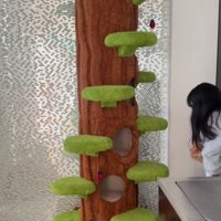 猫を抱える女の子