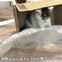 テロップ「※誤飲しないよう～」