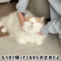 テロップ「もうすぐ帰ってくるから～」