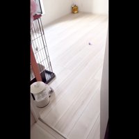 お部屋