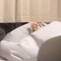 膨らんだシーツに沈む猫