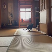 遠くから
