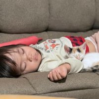 寝ている子猫と子ども