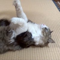 手をはなしたところ