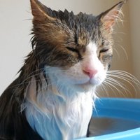 目を閉じた表情