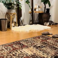 駆けてくる妹ミヌエットを目で追う兄ミヌエット