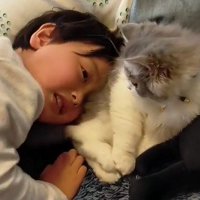 猫を見る男の子