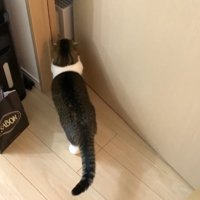 少し開いたドアの前で