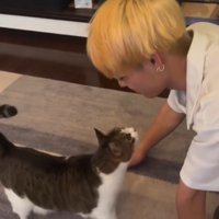 男性の顔を見つめながら近づいてくる猫