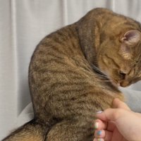 お腹付近に指