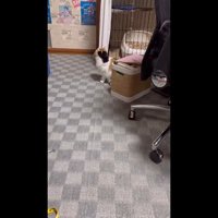 そっぽを向く姿