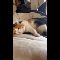 床に頬を