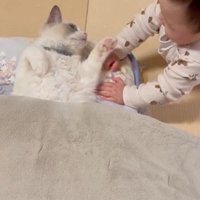 寝そべっている猫と赤ちゃん