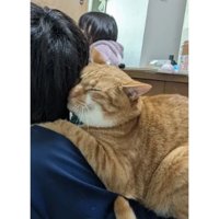 男の子と猫