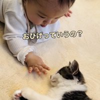 子猫の髭に触る赤ちゃん