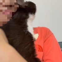 顔にスリスリ
