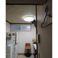 室内にいる猫