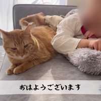 娘さんととらまる