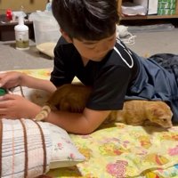 人の体の下から出てきた子猫
