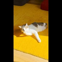 口元に手