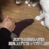 「友だちの足...」のテロップ写真1