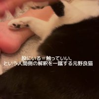 吹き飛ばされる手