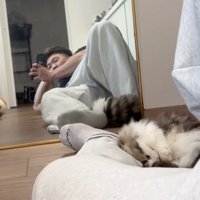 擦り付ける猫