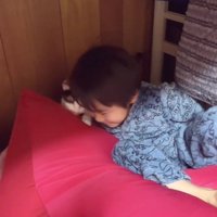 ベッドから落ちた男の子と猫