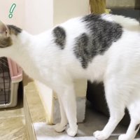 びっくりしてるさんご