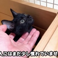 テロップ「他の人には～」