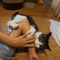 こちらを向くハナくん